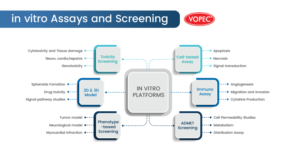 In Vitro Assays and Screening